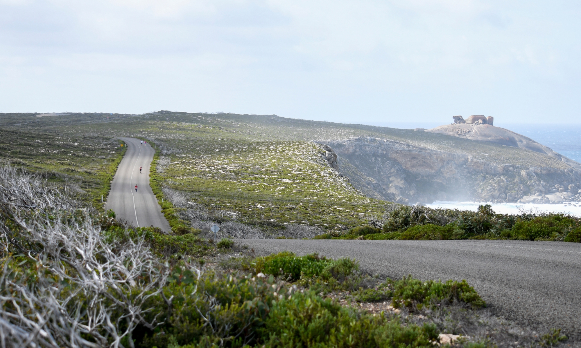 View to Remarkable Rocks from Boxer Drive on Race Day